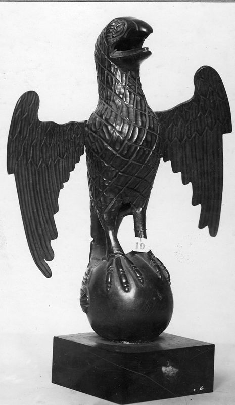 Petit aigle