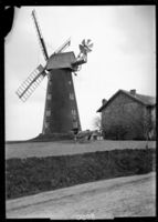 A003920