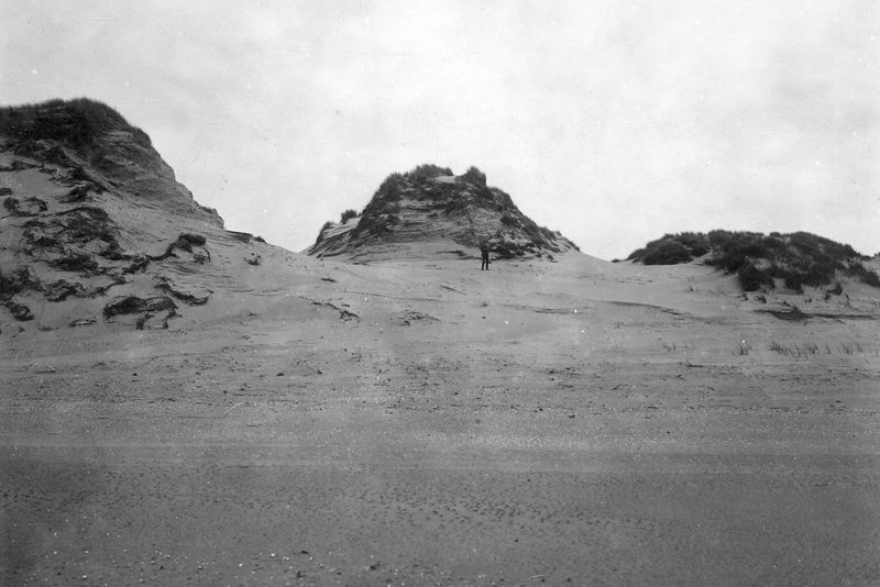 paysage de dunes / Aspect[Westende]