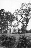 A005071
