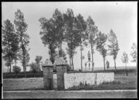 A009919
