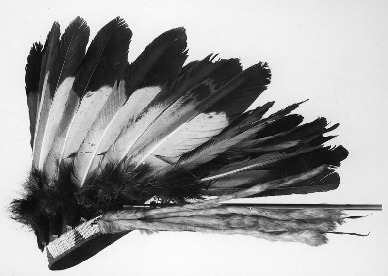 coiffe de plumes / Musées Royaux d'Art et d'Histoire