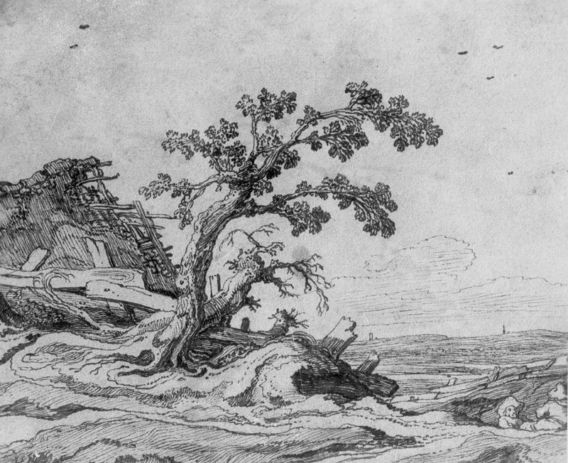 Bouwvallig huis bij boom