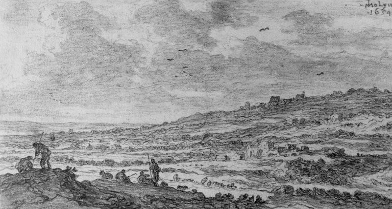 Heuvel-(duin- ?)landschap