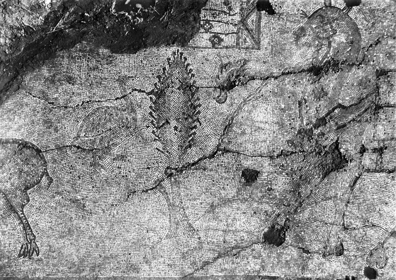 Site archéologique d'Apamée/Apamea: mosaïques des portiques de la Grande Colonnade in situ