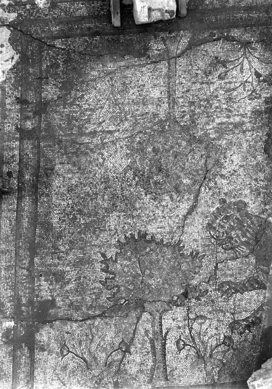 Site archéologique d'Apamée/Apamea: mosaïques des portiques de la Grande Colonnade in situ