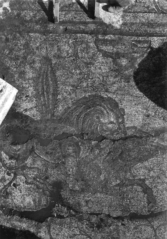 Site archéologique d'Apamée/Apamea: mosaïques des portiques de la Grande Colonnade in situ