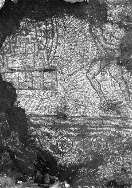 Site archéologique d'Apamée/Apamea: mosaïques des portiques de la Grande Colonnade in situ