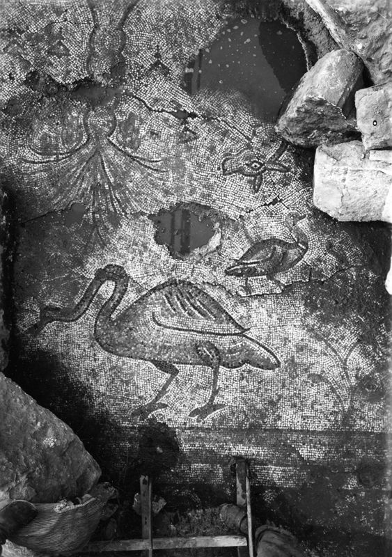 Site archéologique d'Apamée/Apamea: mosaïques des portiques de la Grande Colonnade in situ