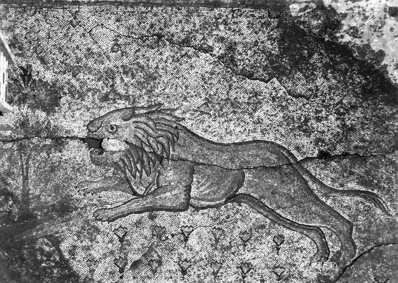 Site archéologique d'Apamée/Apamea: mosaïques des portiques de la Grande Colonnade in situ