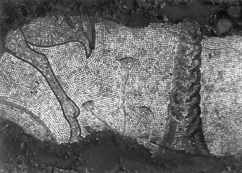 Site archéologique d'Apamée/Apamea: mosaïques des portiques de la Grande Colonnade in situ