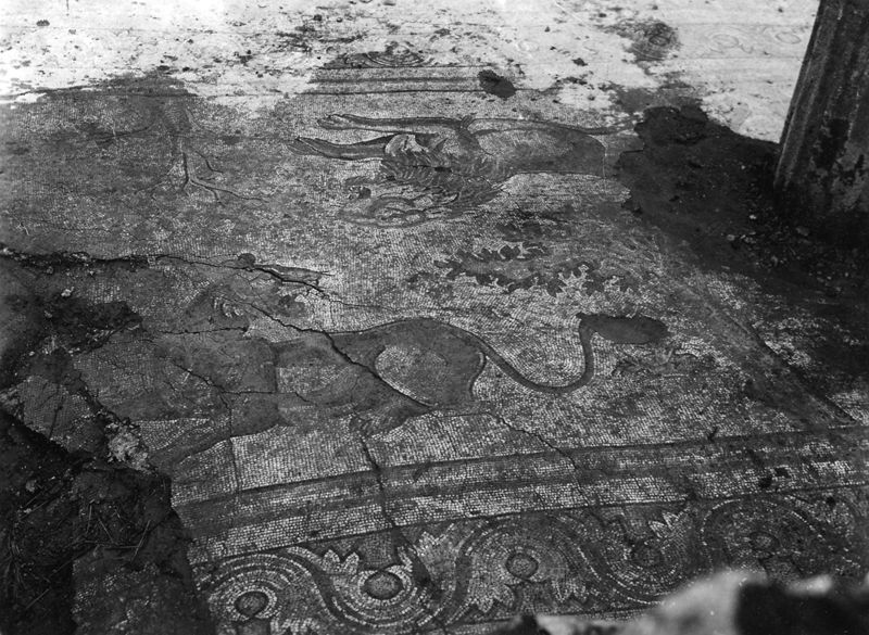 Site archéologique d'Apamée/Apamea: mosaïques des portiques de la Grande Colonnade in situ