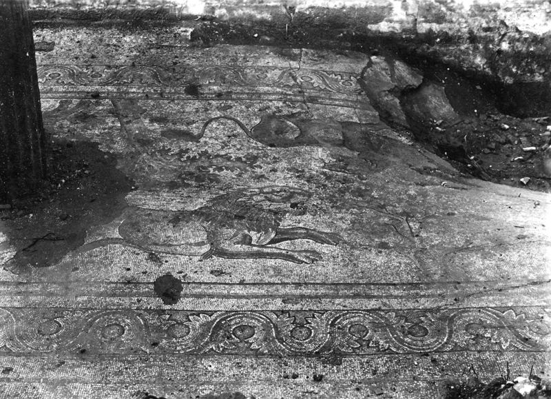 Site archéologique d'Apamée/Apamea: mosaïques des portiques de la Grande Colonnade in situ