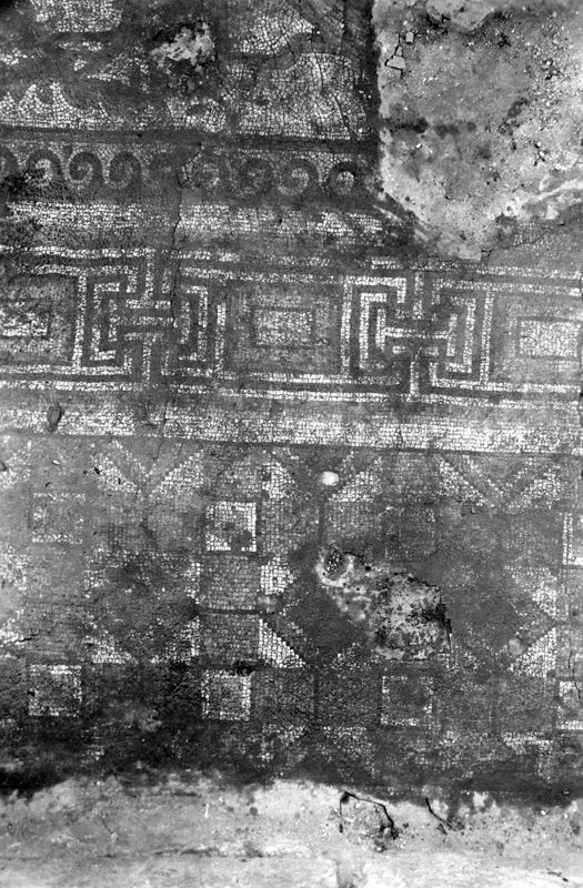 Site archéologique d'Apamée/Apamea: grande mosaïque de chasse du Triclinos in situ