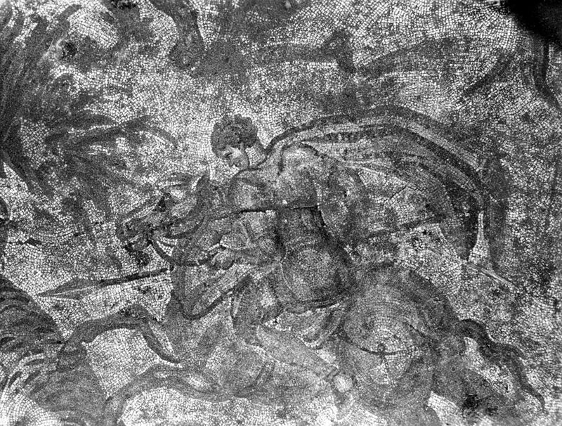 Site archéologique d'Apamée/Apamea: grande mosaïque de chasse du Triclinos in situ
