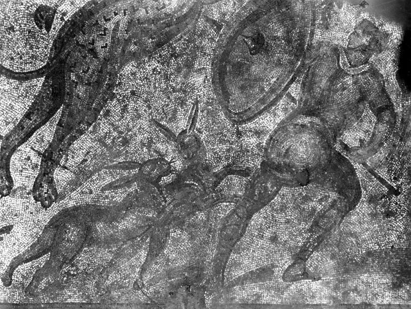 Site archéologique d'Apamée/Apamea: grande mosaïque de chasse du Triclinos in situ