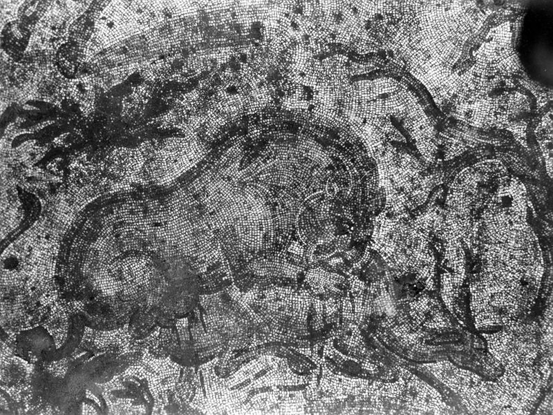 Site archéologique d'Apamée/Apamea: grande mosaïque de chasse du Triclinos in situ