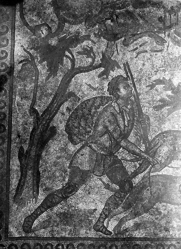 Site archéologique d'Apamée/Apamea: grande mosaïque de chasse du Triclinos in situ