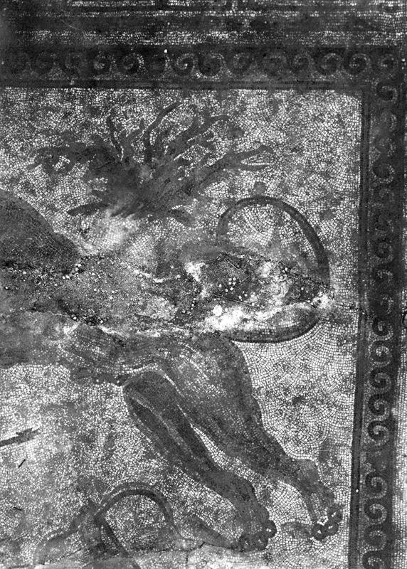 Site archéologique d'Apamée/Apamea: grande mosaïque de chasse du Triclinos in situ