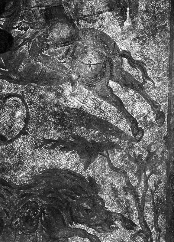 Site archéologique d'Apamée/Apamea: grande mosaïque de chasse du Triclinos in situ