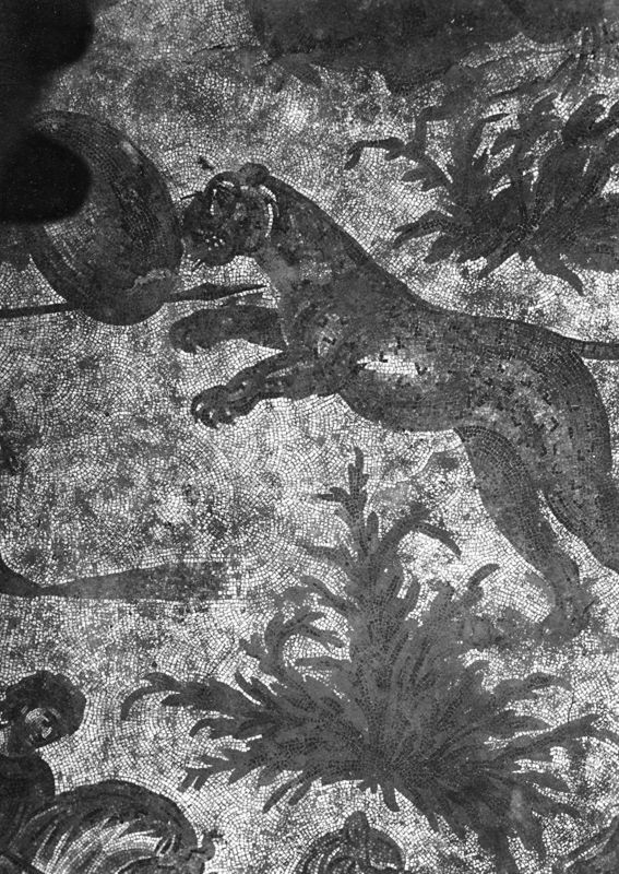 Site archéologique d'Apamée/Apamea: grande mosaïque de chasse du Triclinos in situ