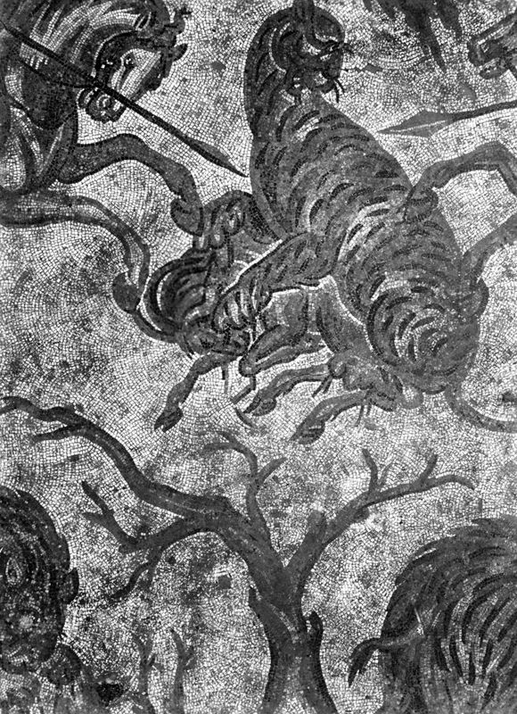 Site archéologique d'Apamée/Apamea: grande mosaïque de chasse du Triclinos in situ