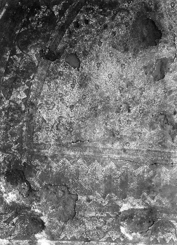 Site archéologique d'Apamée/Apamea: grande mosaïque de chasse du Triclinos in situ
