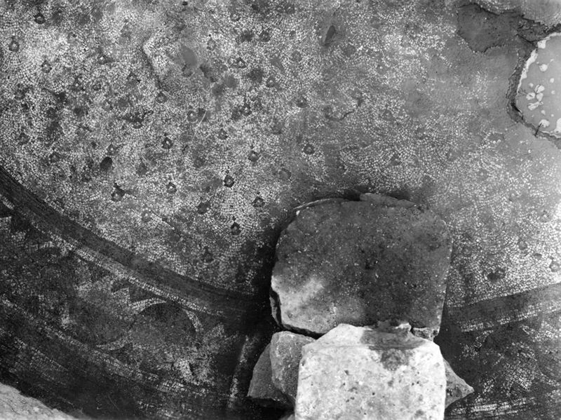 Site archéologique d'Apamée/Apamea: grande mosaïque de chasse du Triclinos in situ