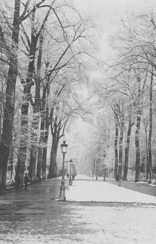 parc / Parc royal (Bruxelles)