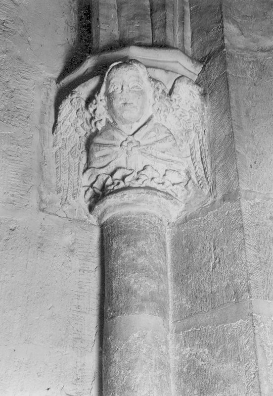 chapiteau à feuillage / Eglise Saint-Jacques[Liège]