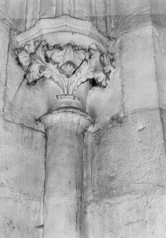 chapiteau à feuillage / Eglise Saint-Jacques[Liège]