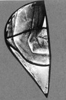 A024423