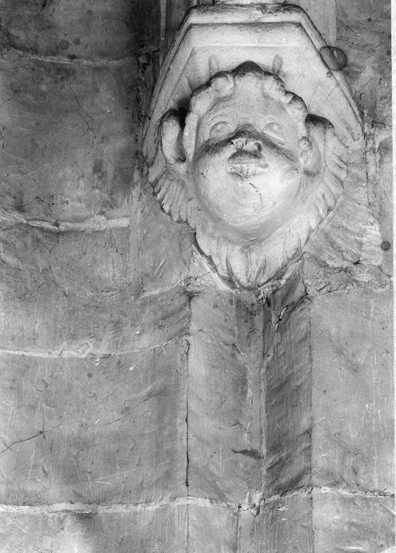 Tête d'Ange