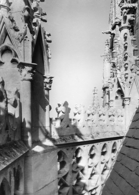 basilique / Kerk Sint-Martinus[Halle]
