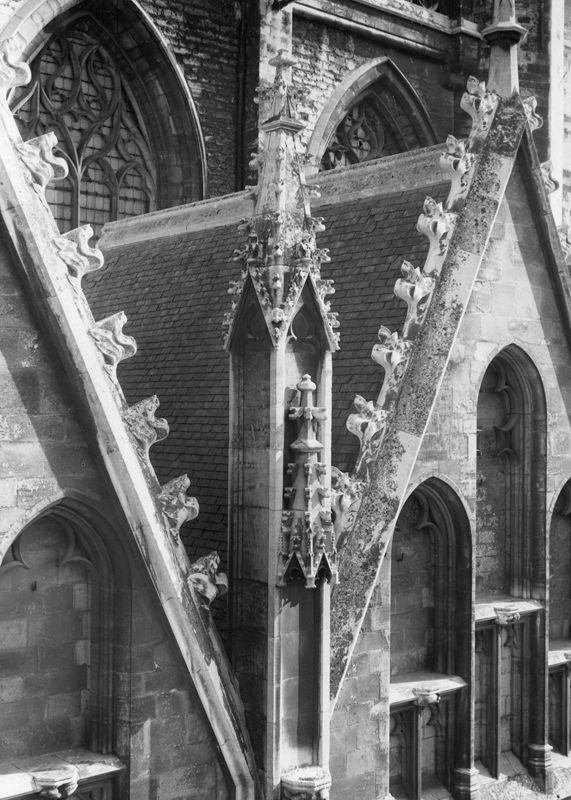 basilique / Kerk Sint-Martinus[Halle]