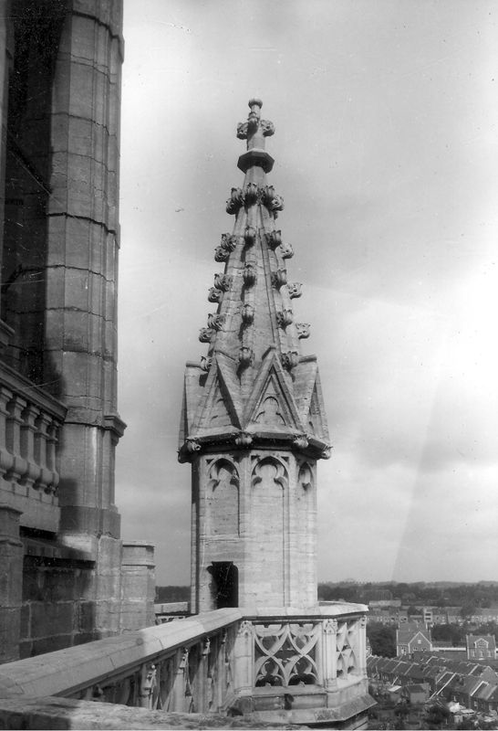 basilique / Kerk Sint-Martinus[Halle]