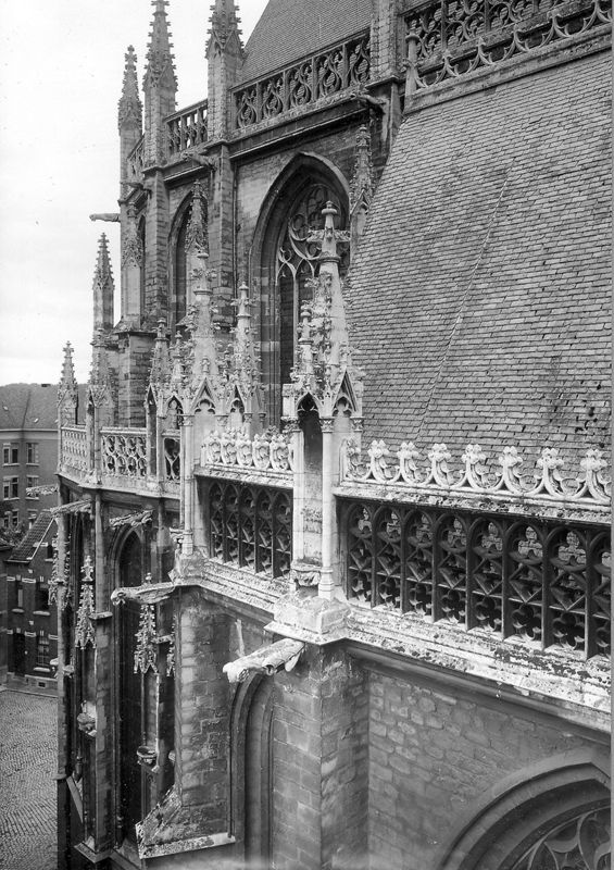 basilique / Kerk Sint-Martinus[Halle]