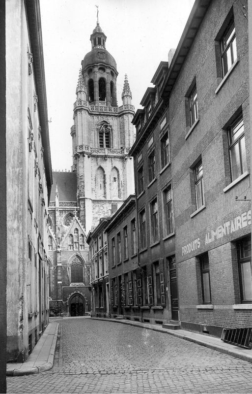 basilique / Kerk Sint-Martinus[Halle]