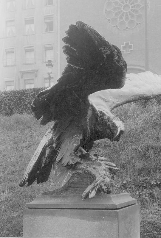 Aigle tenant un lièvre dans ses serres