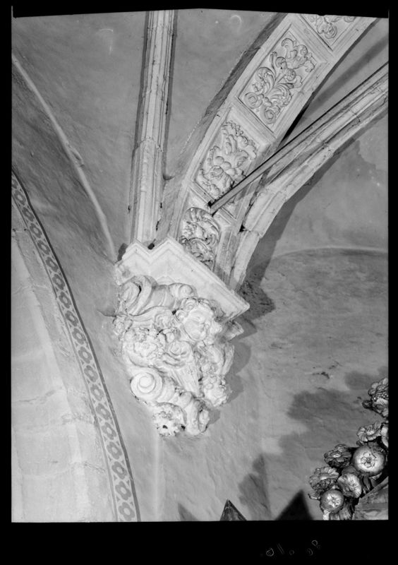 corbeau[support] / Kerk Sint-Martinus[Gent]