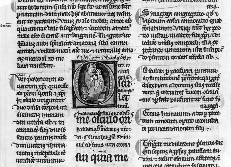 Libri sapientiales