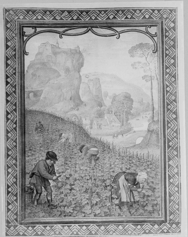 Livre d'heures dit "de Hennessy", usage de Rome
