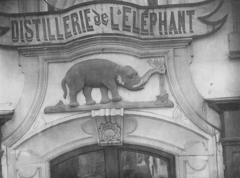Distillerie de l'Eléphant