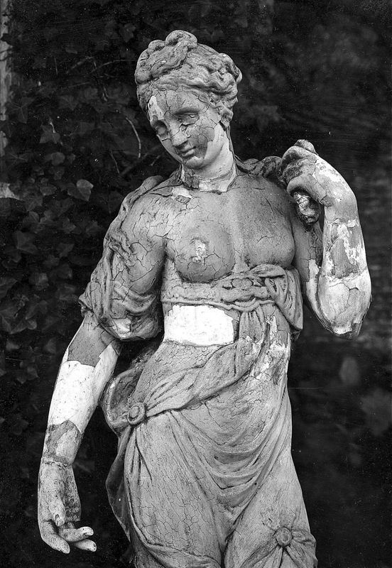 Venus