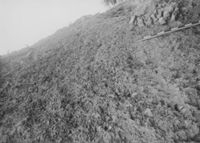A078057