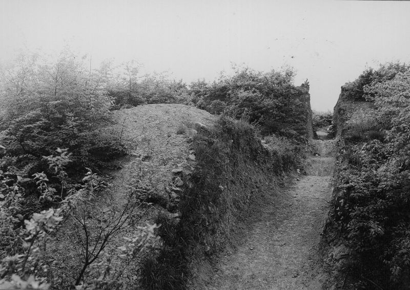 Blanche Borne "Camp Gaulois"