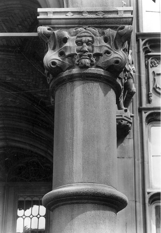 Tête d'homme entourée de feuillages
