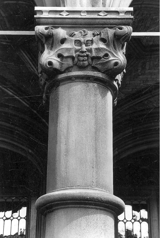 Tête d'homme entourée de feuillages