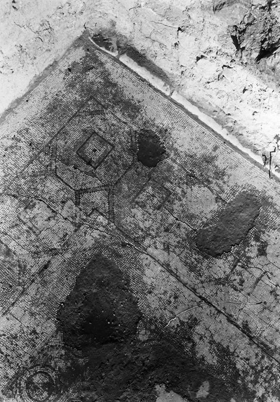 Site archéologique d'Apamée/Apamea: mosaïques des portiques de la Grande Colonnade in situ