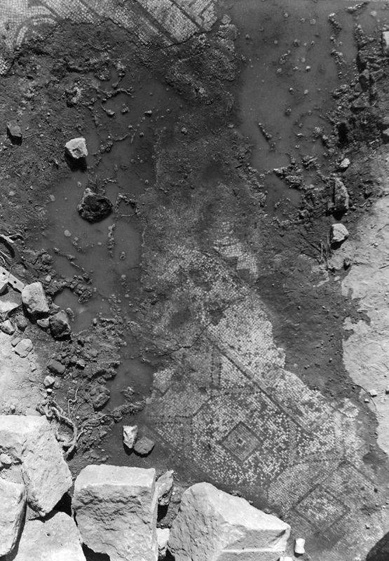 Site archéologique d'Apamée/Apamea: mosaïques des portiques de la Grande Colonnade in situ